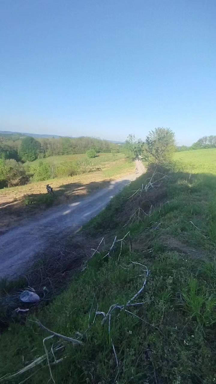 @Acimovic1235