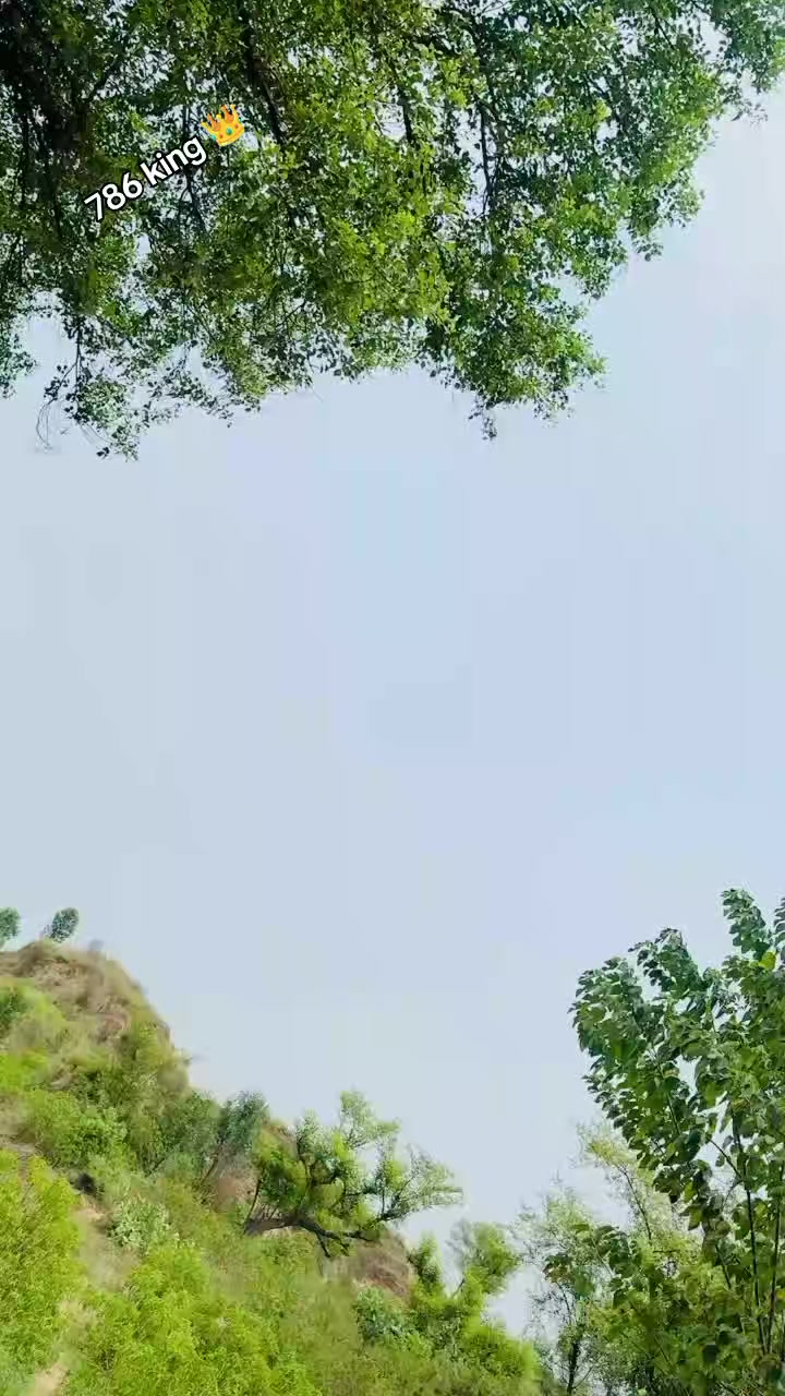 @چوہدری نثار مندیال