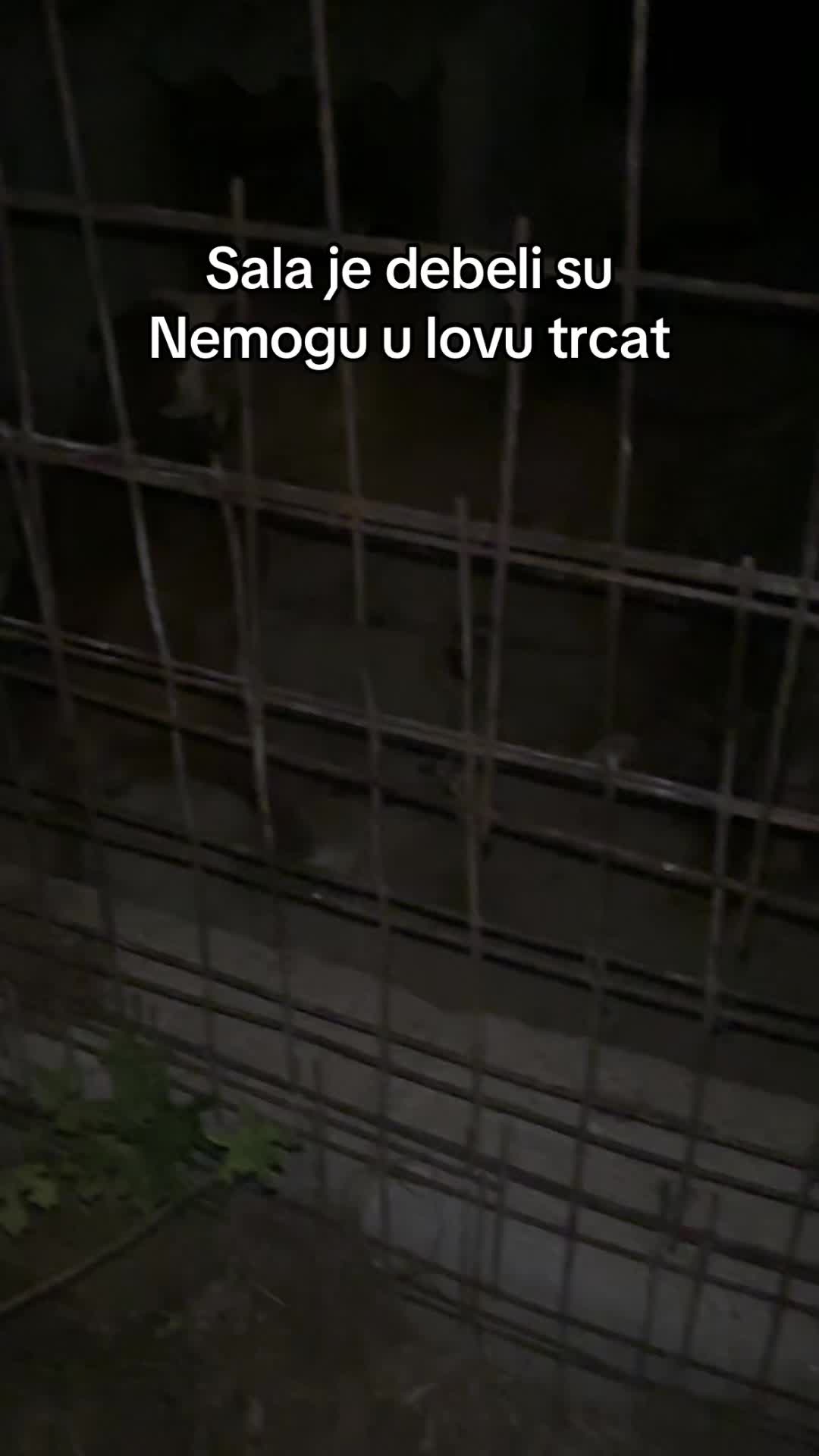 @niksejdonn