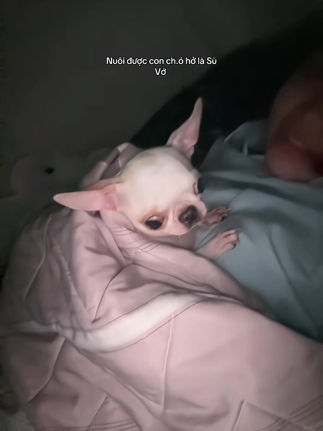 @Lún Lè👽
