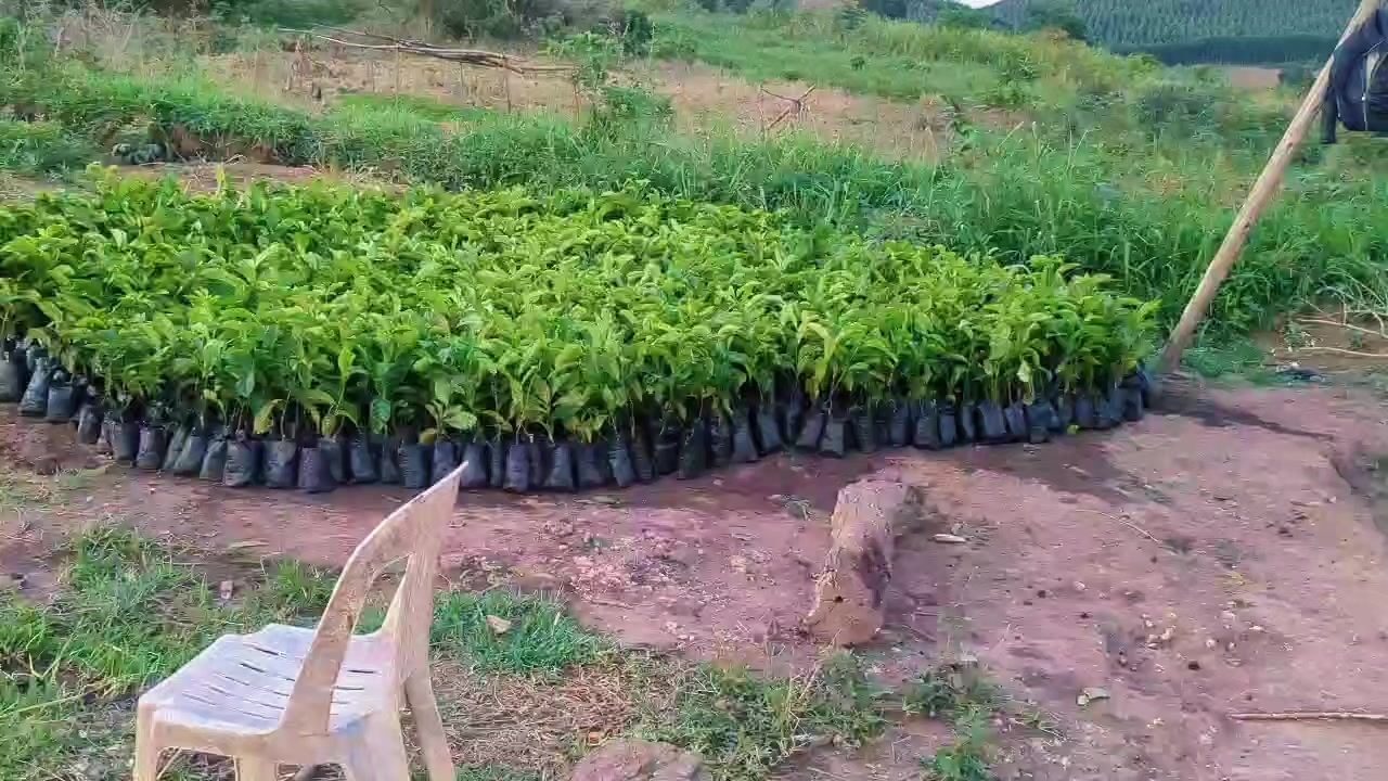 @user02214579683