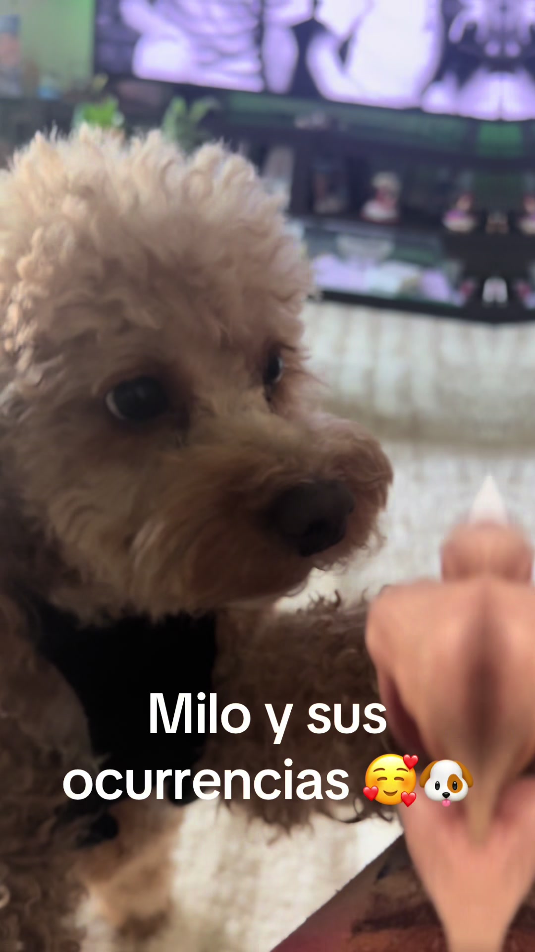 @pattycastillot
