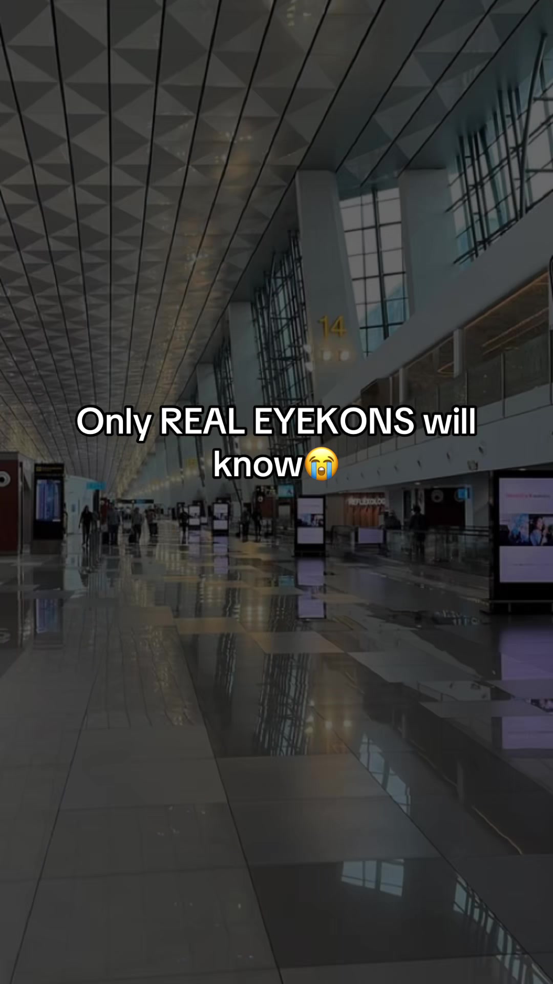 @โฉโ
~๐น๐๐๐๐~โ
โฉ
