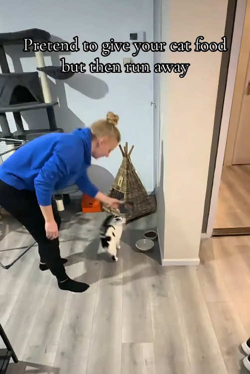 @Scare.funny.pets