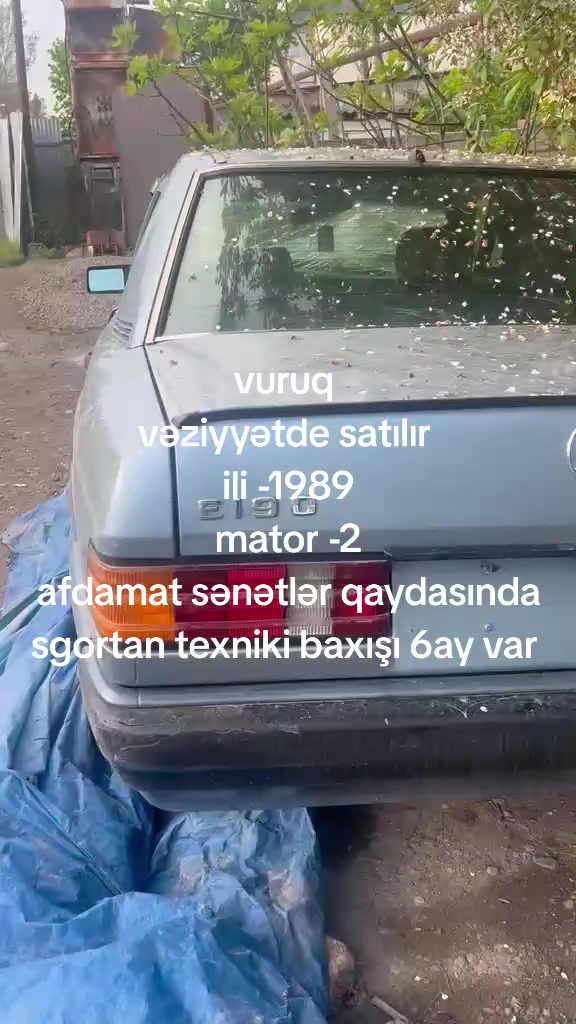 @elmar60