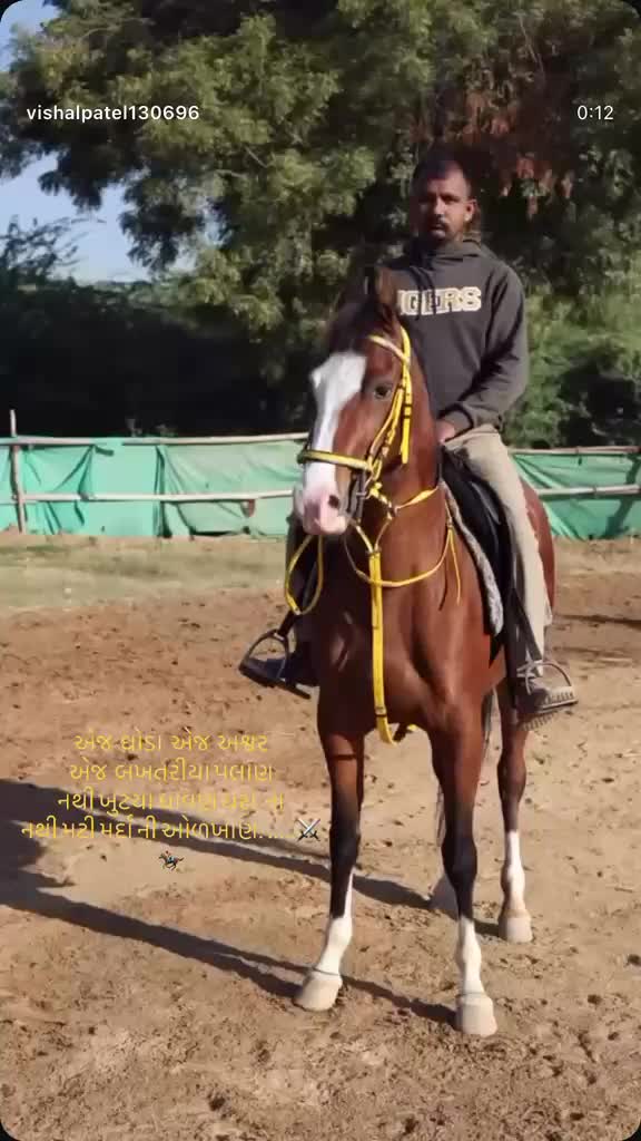 @vishal Patel 🐎 🐎 🐎