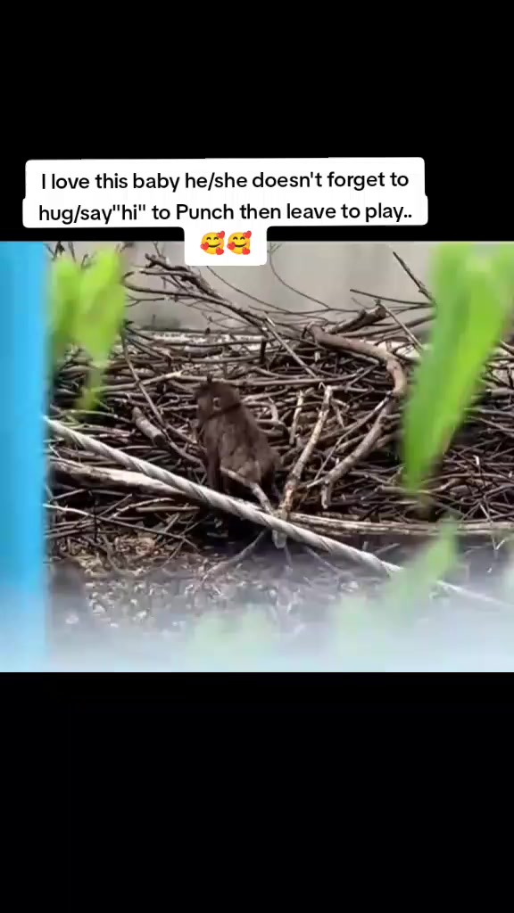 @Mochi/Rusty
