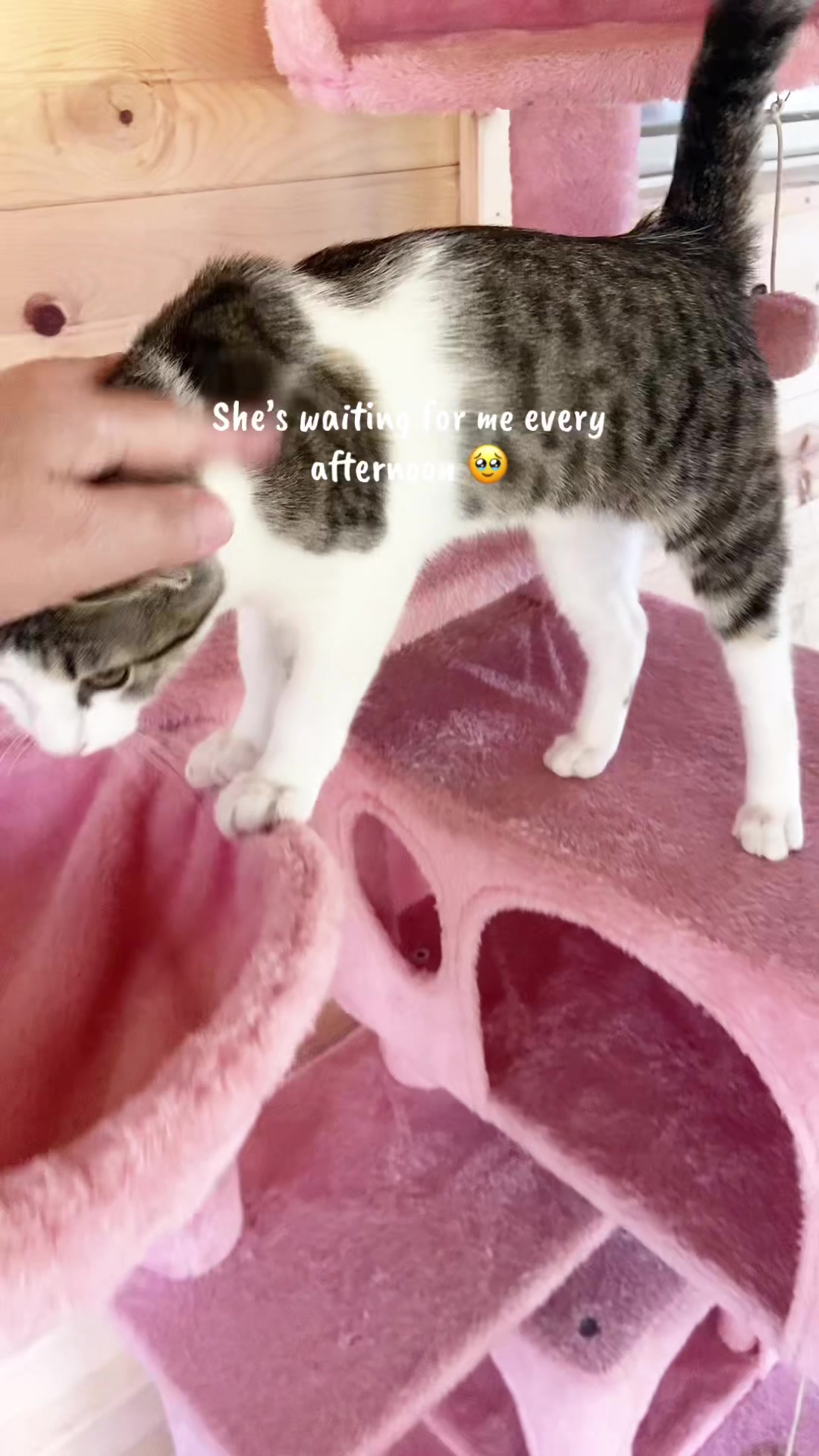 @Meg