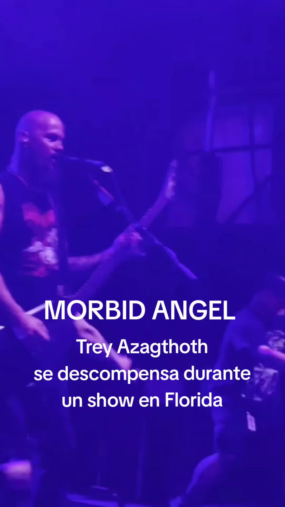 @Gryzzo