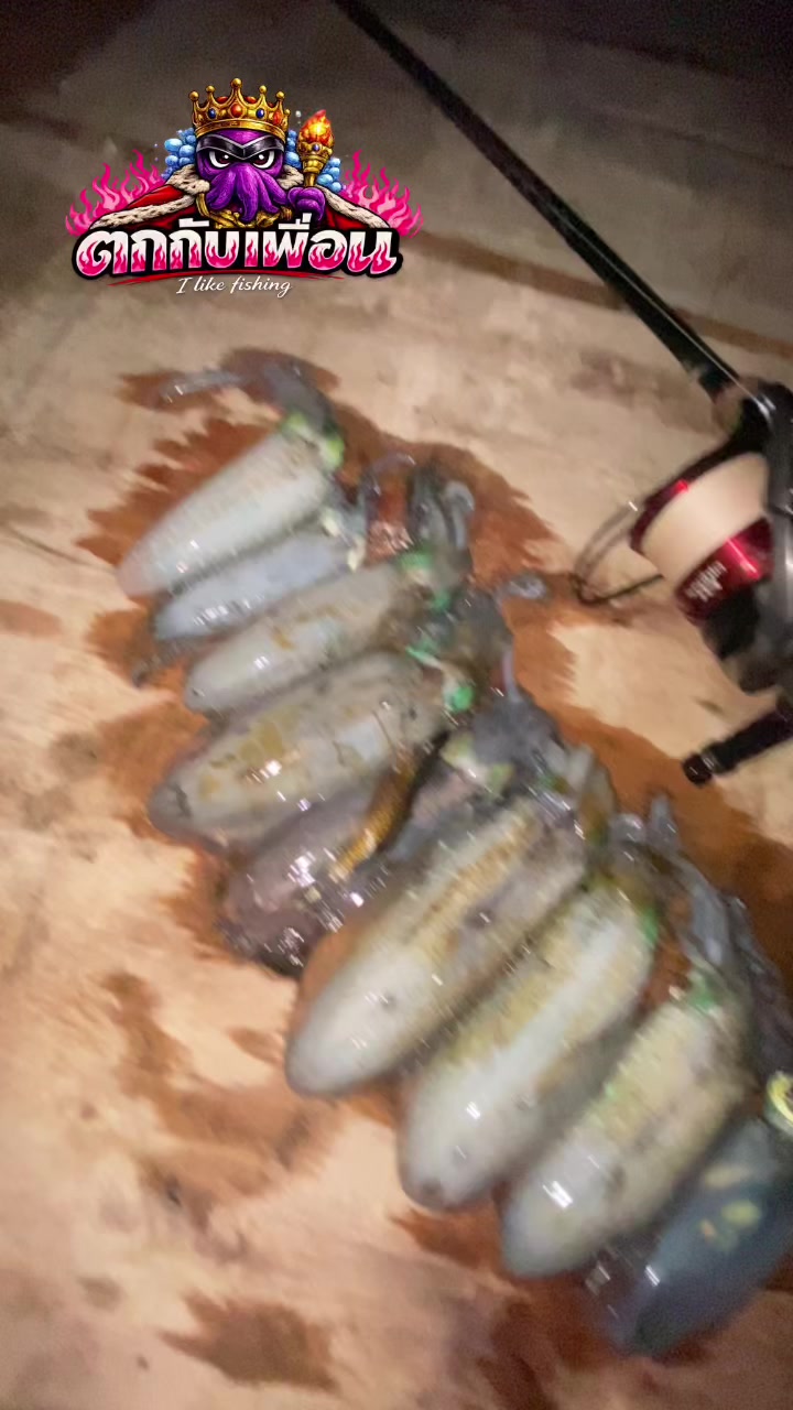@ตกกับเพื่อน🦑 (likes fishing)