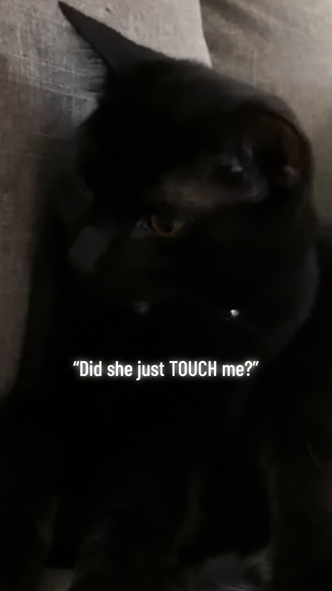@C 🖤