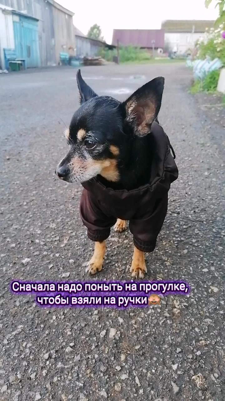@@dina_and_timoshatoy