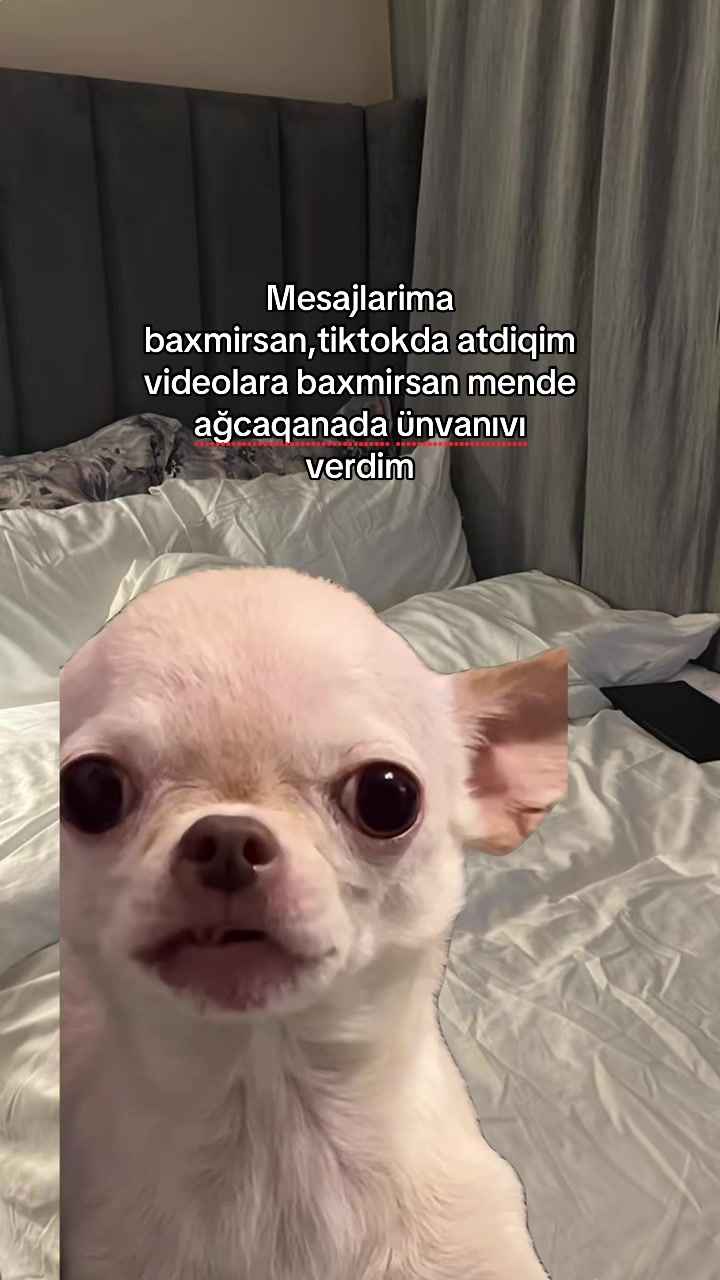 @๐เพเฝฒ๐๐เพเฝฒ