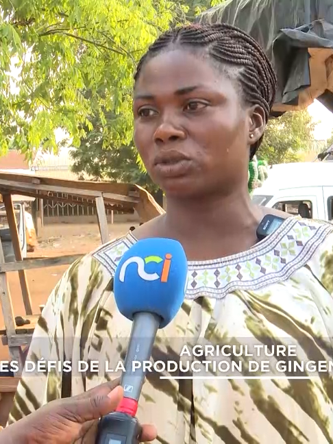 @La Nouvelle Chaîne Ivoirienne