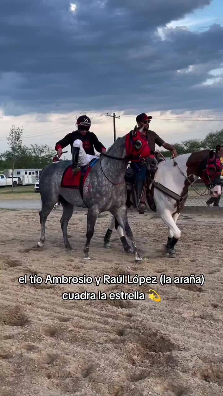 @carriles altos de jalisco🐎