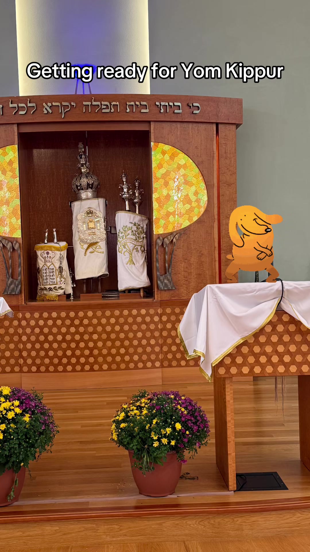 @Rabbi Seth Goldstein
