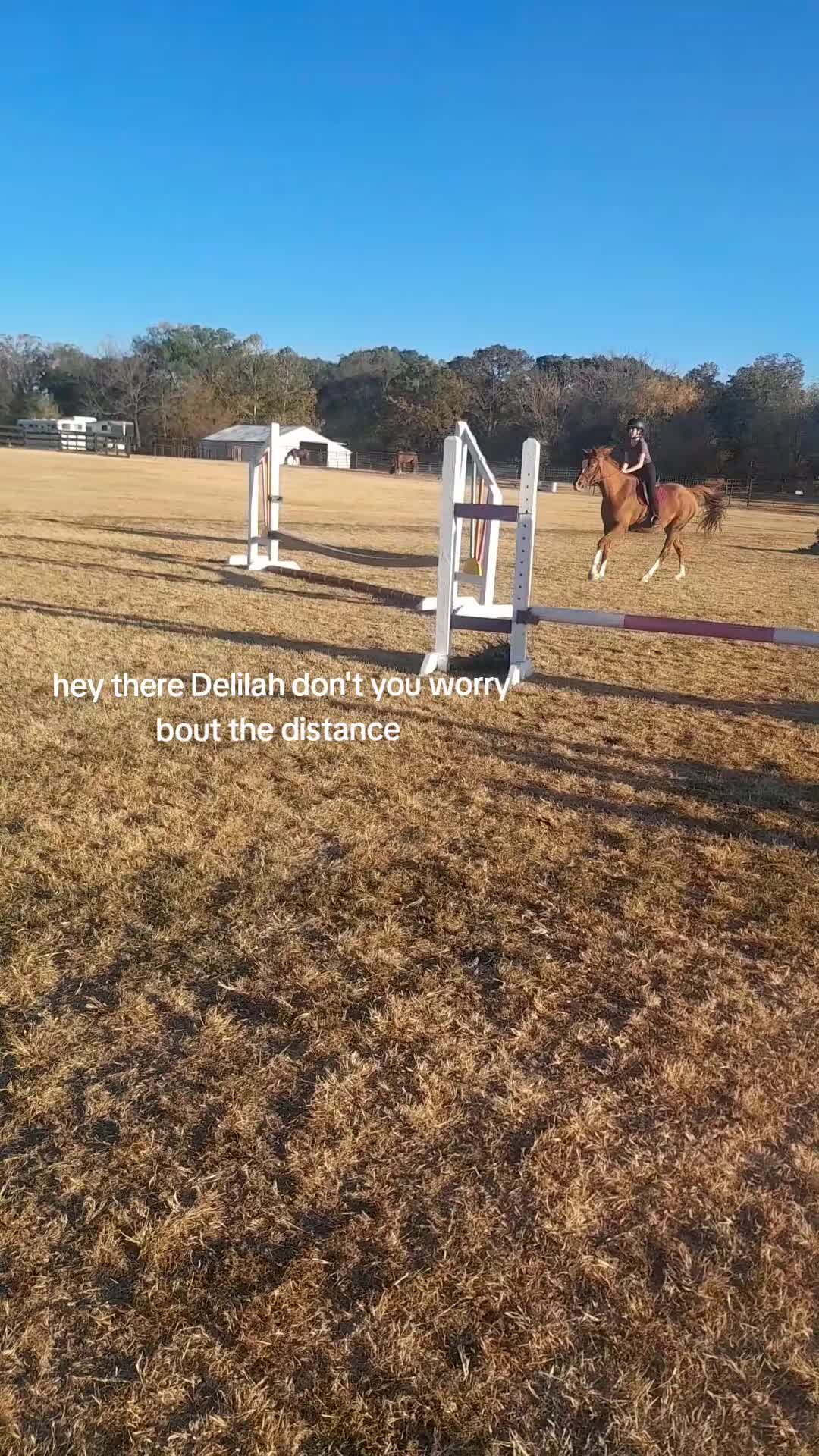 @that dumb little shit