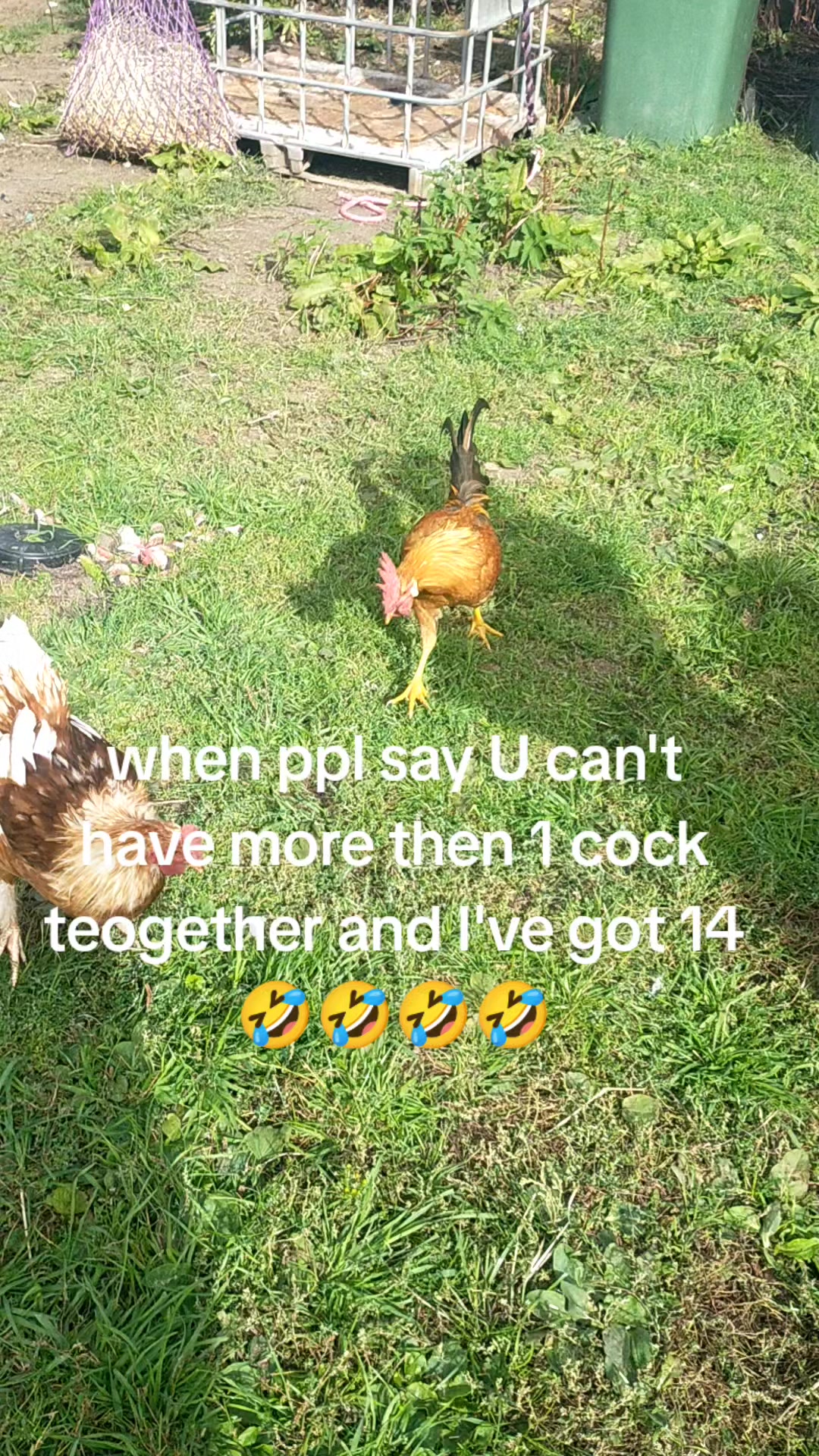 @❤️👌❤️👌❤️👌❤️