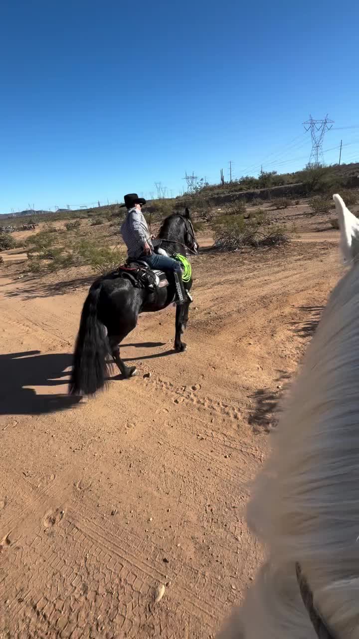 @ThunderGallops