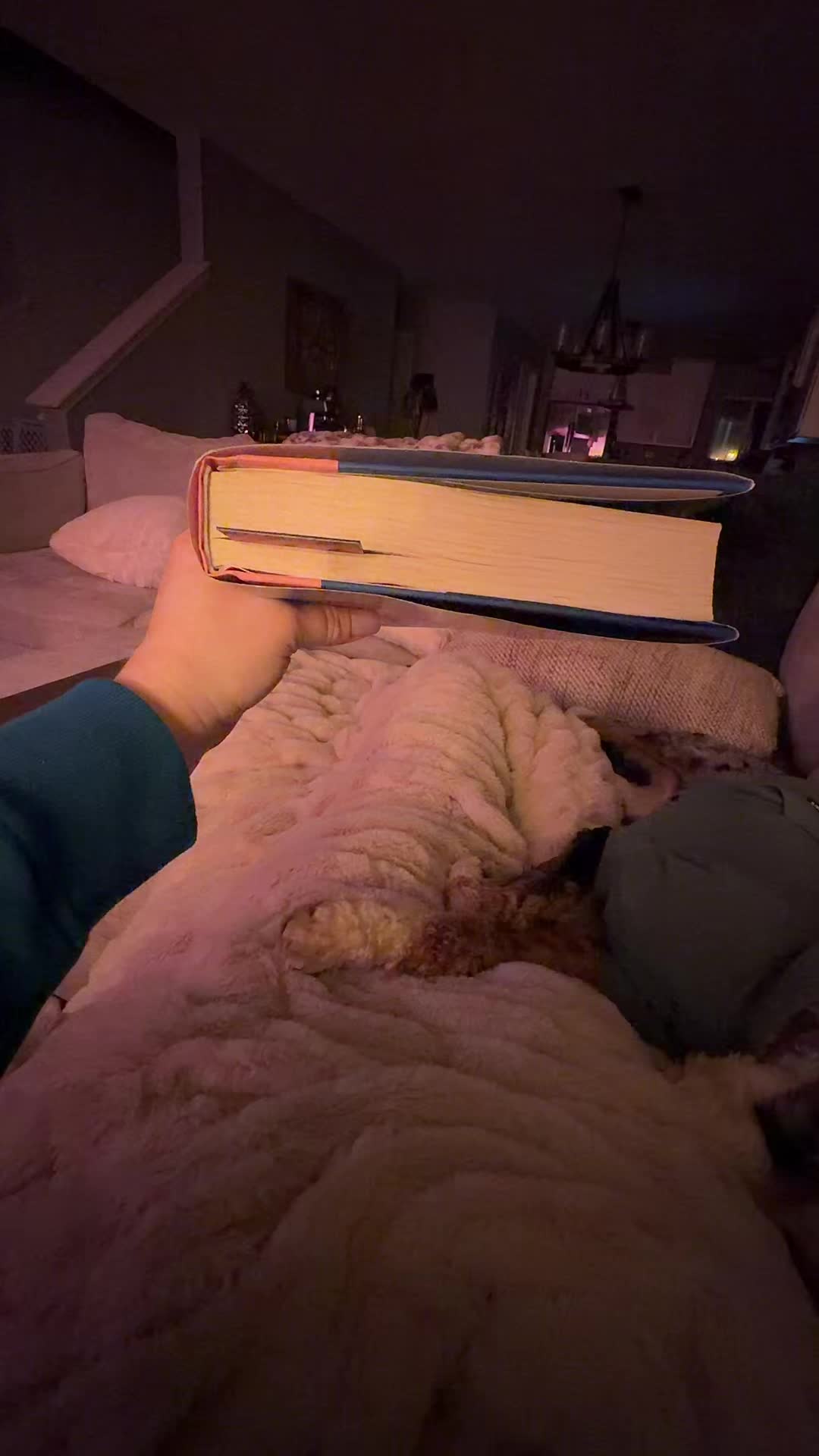 @Brandyisreading🫶🏻📚❣️