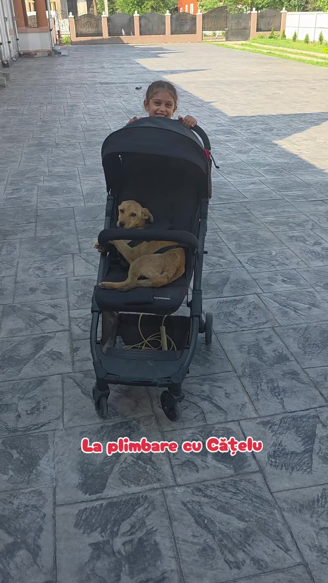 @OglindaVenetiana
