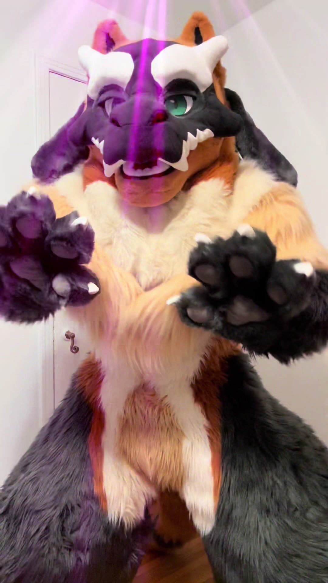 @Gyer 🔜 MEGAPLEX