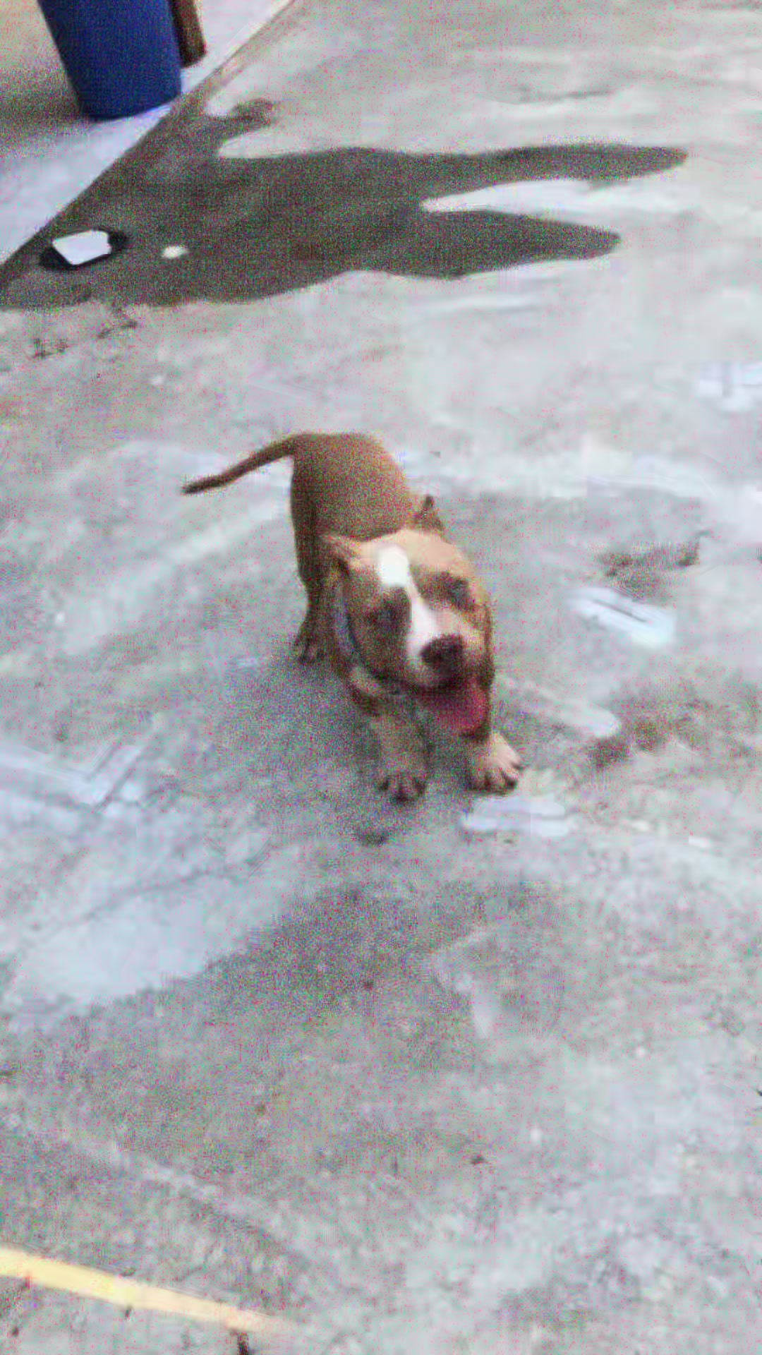 @Personal.RandaBarroco