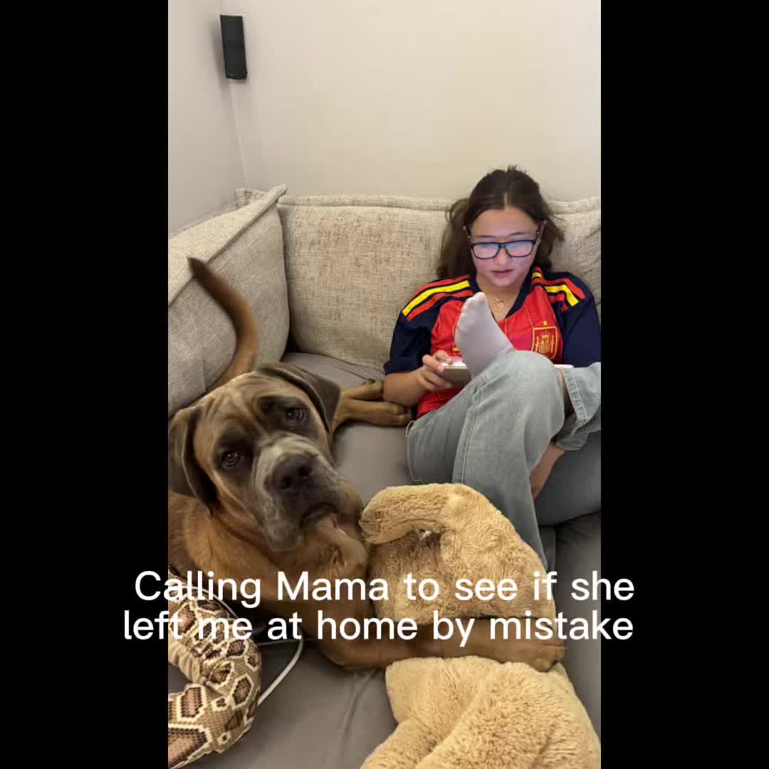 @Chicocanecorso