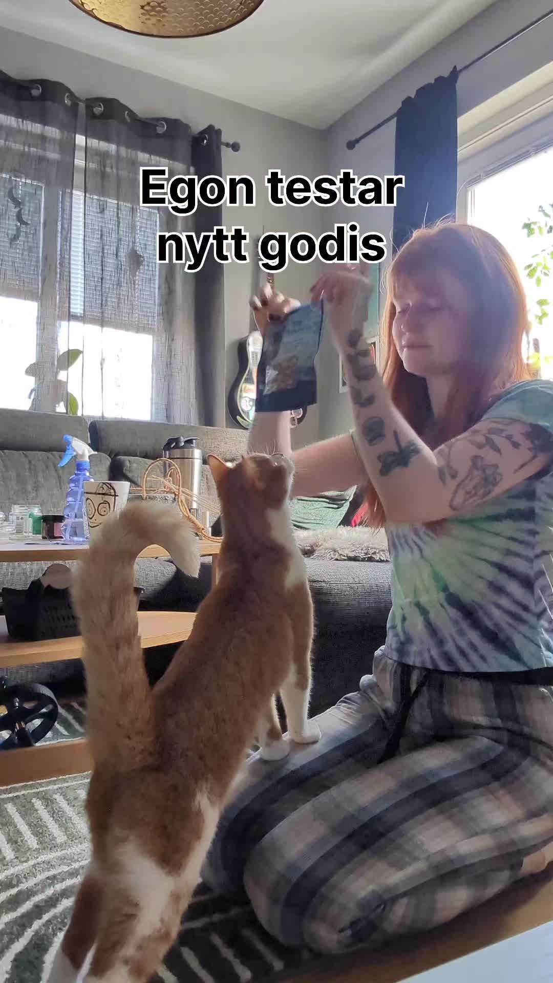 @Stridsvagnes