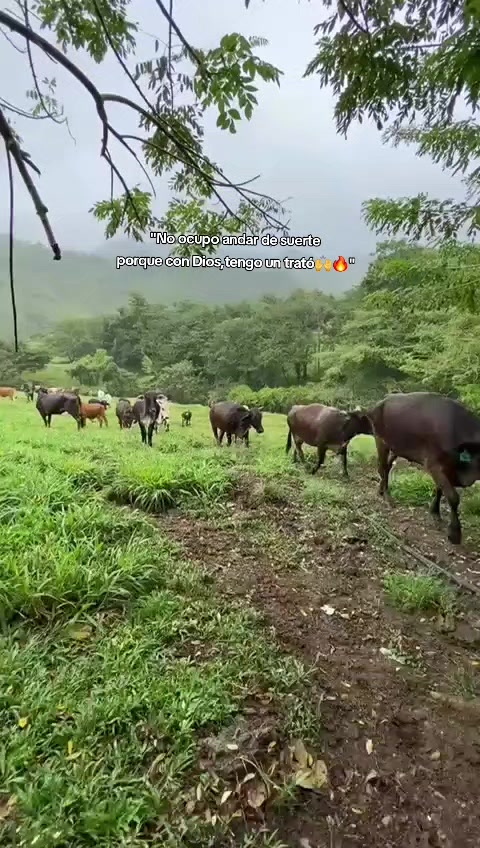 @Yohary🧡😽!!