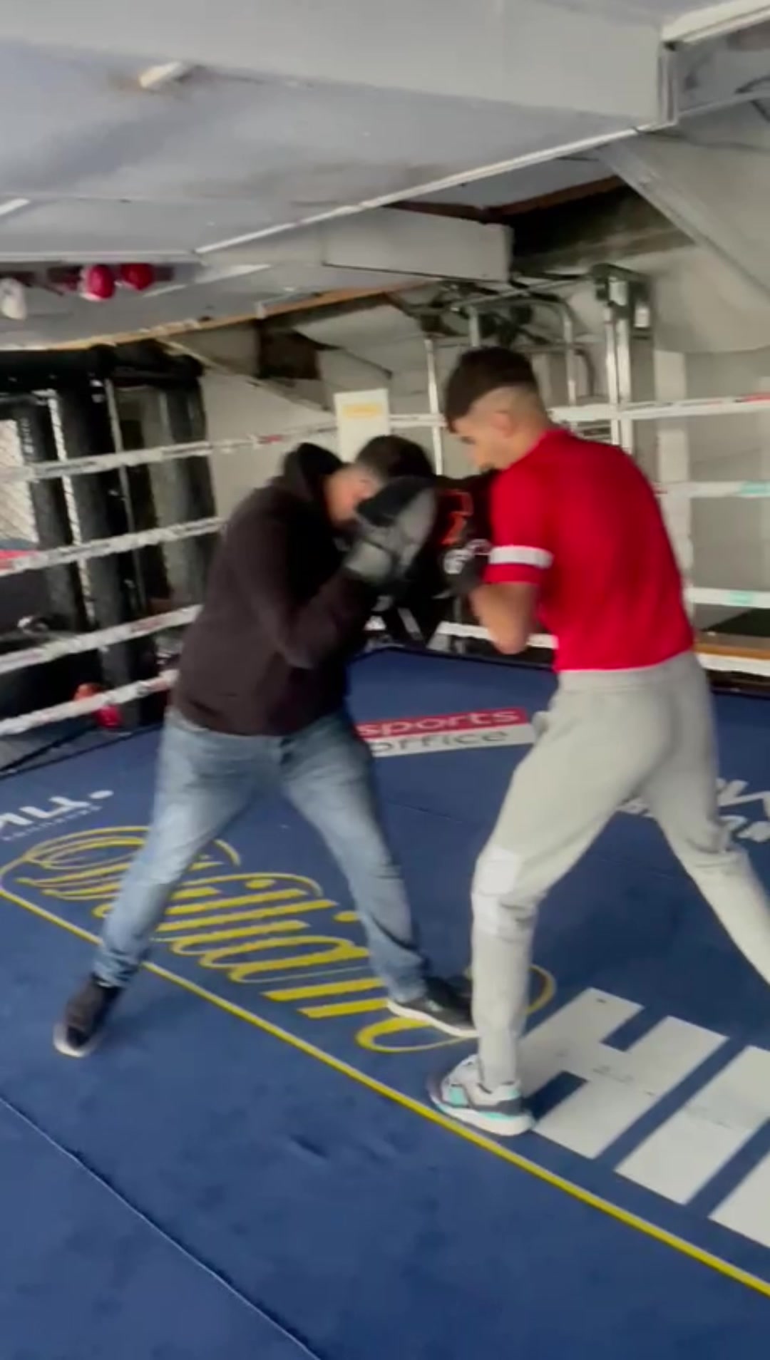 @Haris Boxer 🌶