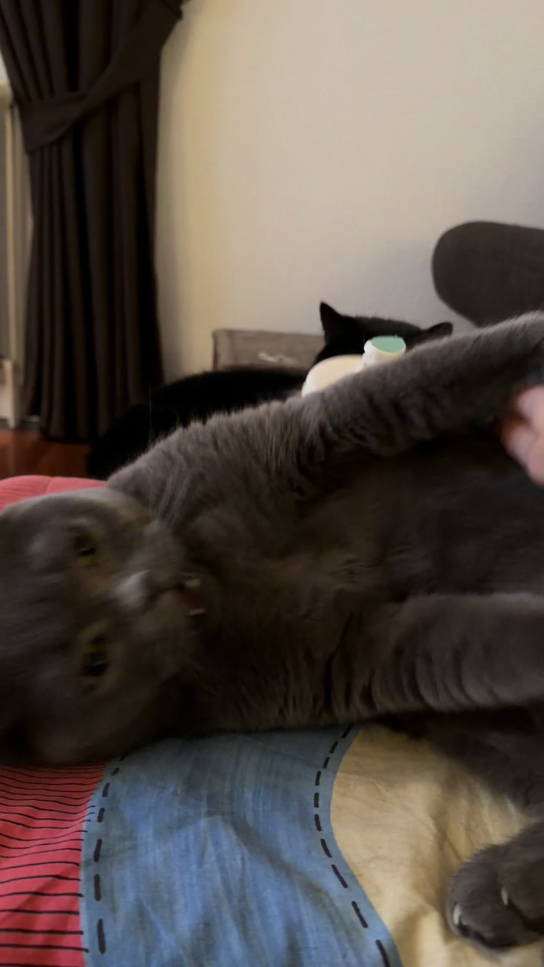 @๐๐โ๐พ ๐ธ๐๐ผ๐โ๐ฅ