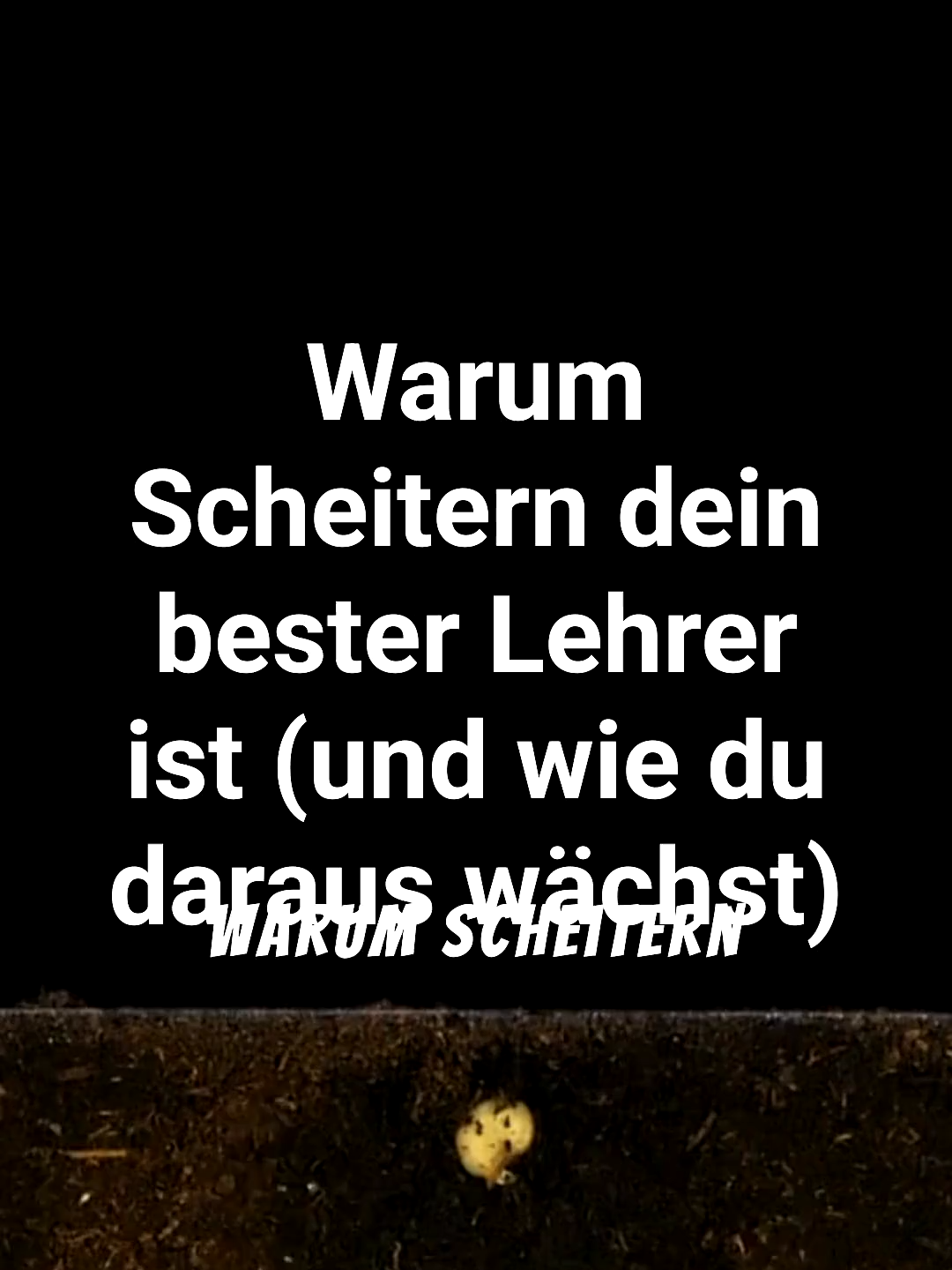 @Unglaubliche Fakten zu ...