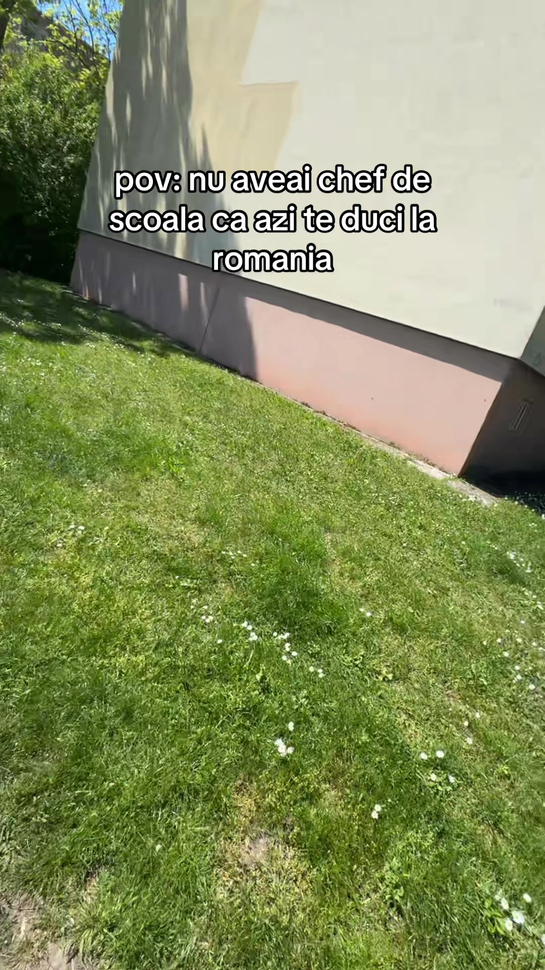 @sieles.