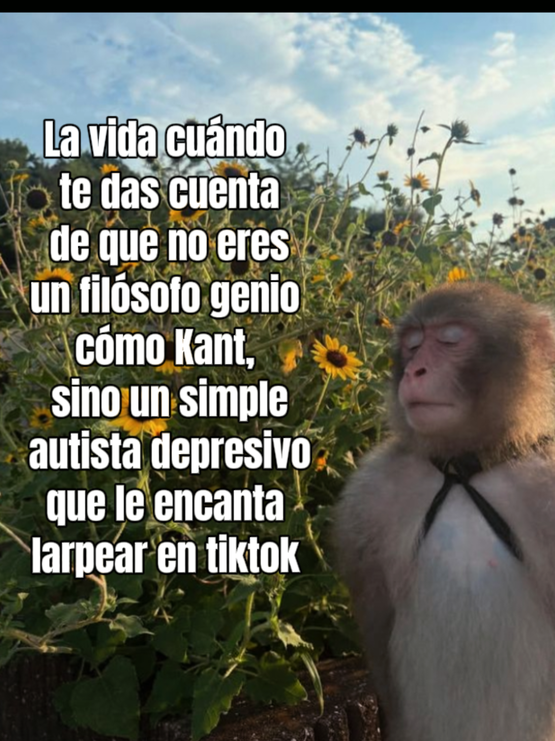 @PsicoMysteri