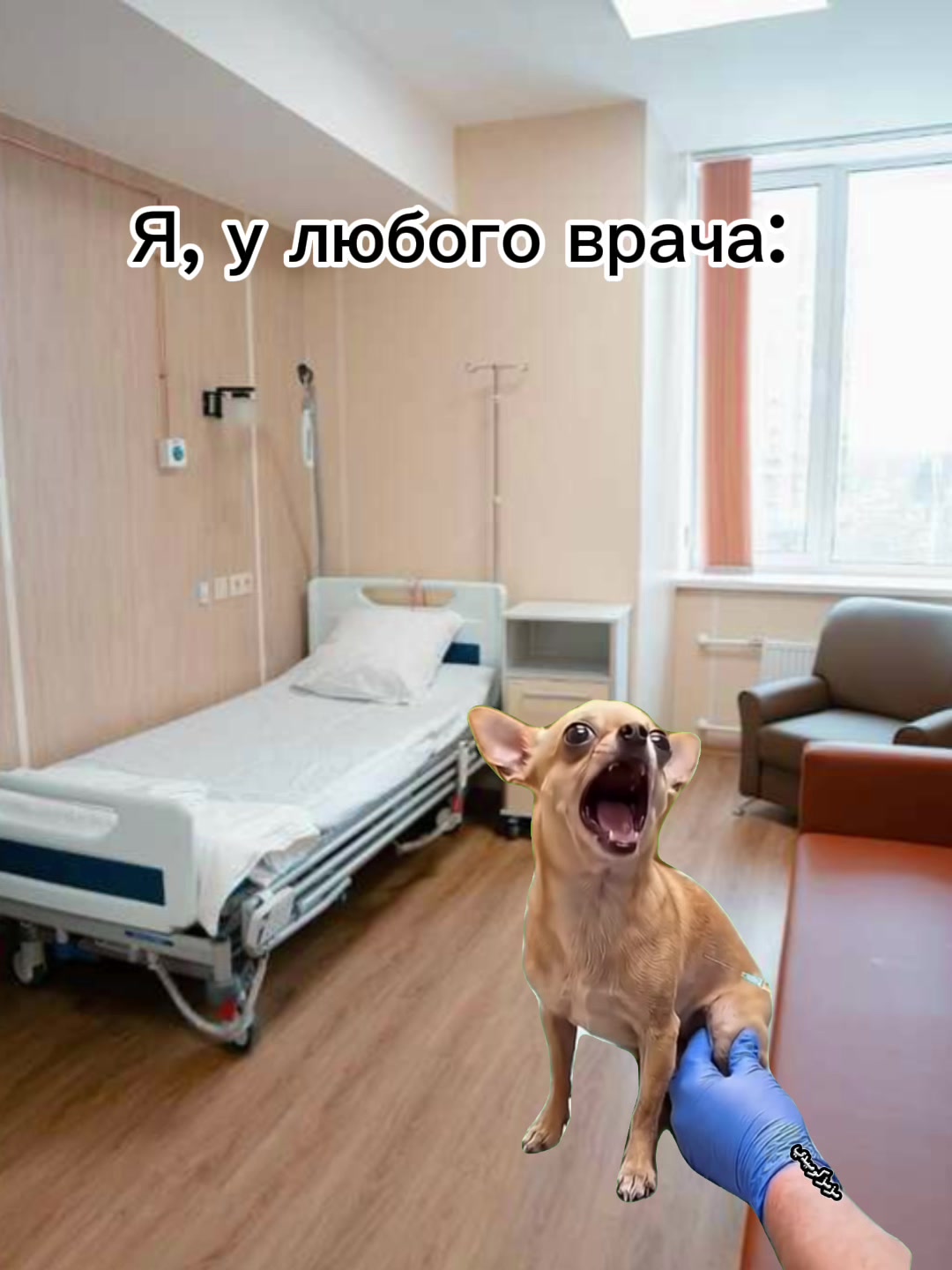 @🕊️🤍Herzogin.Anastasia🤍🕊️