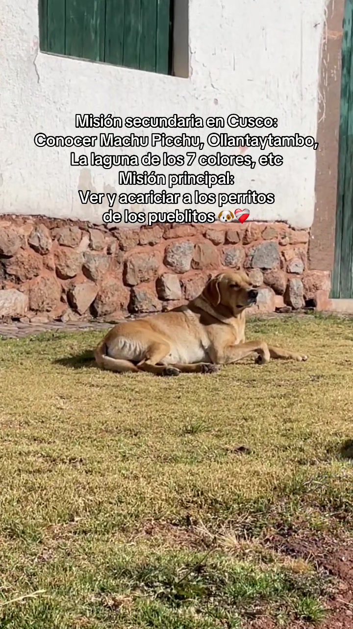 @Martin Lude&ntilde;a