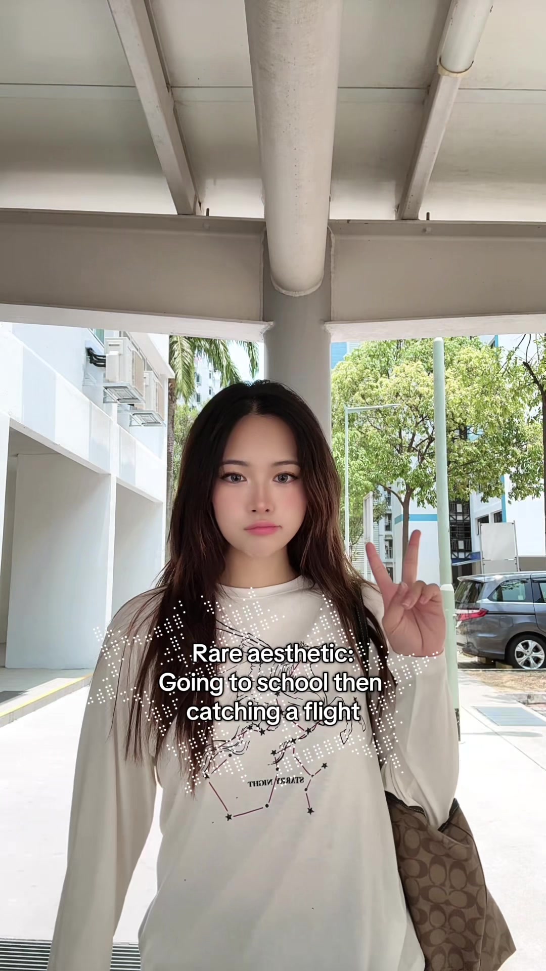 @ARIEL E. ˖°❀