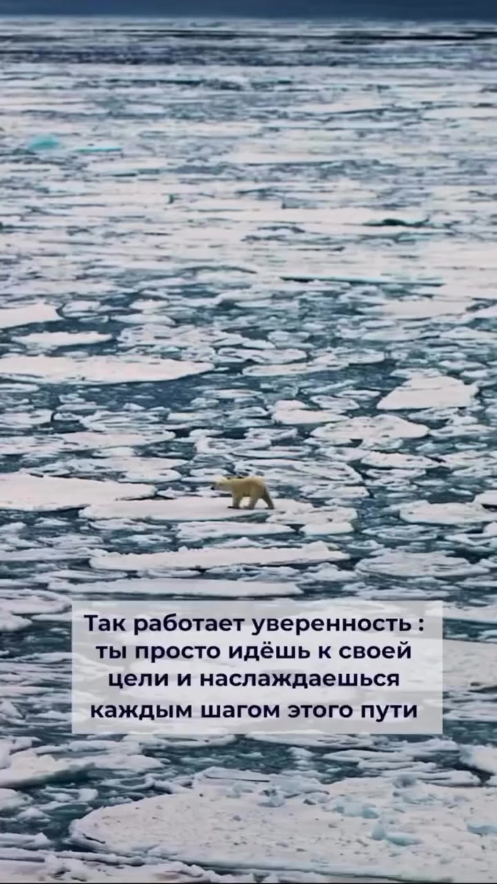 @naydi_blizkogo