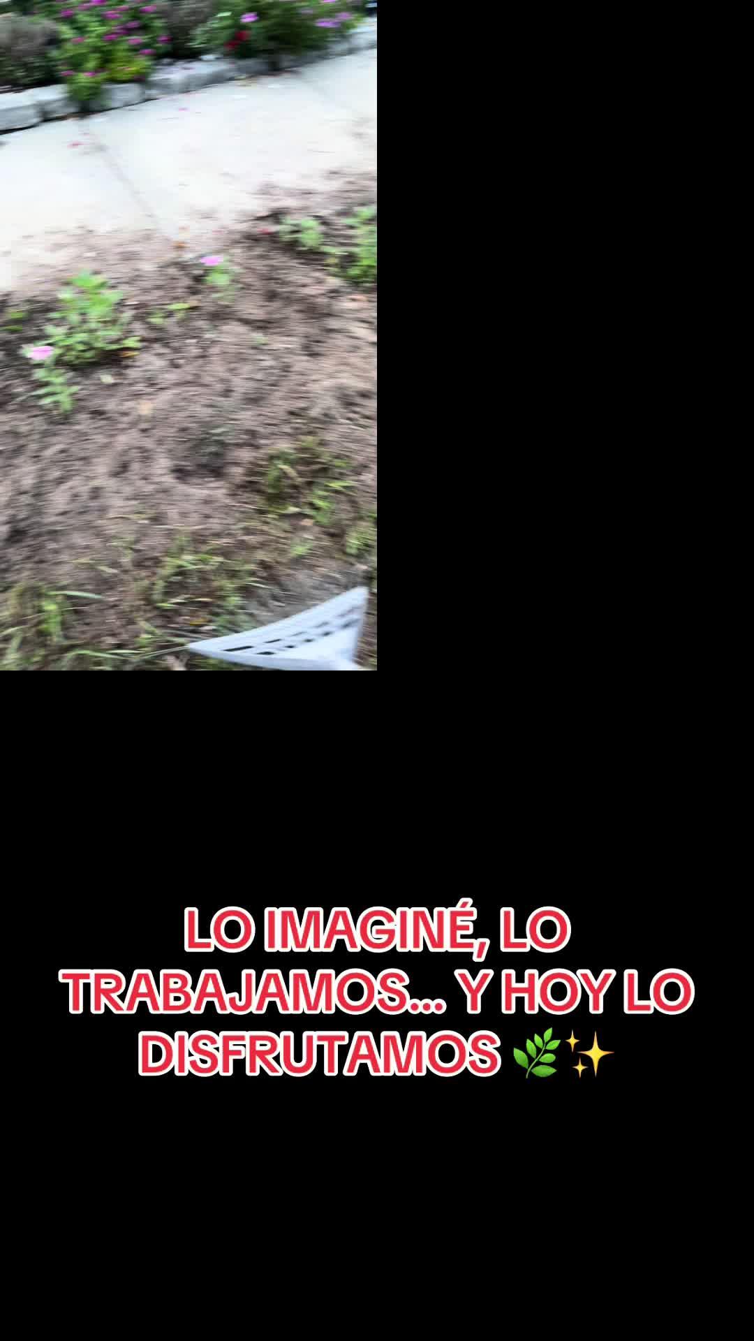 @Gladys Rosado
