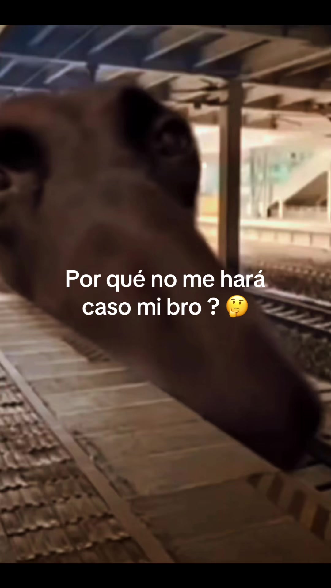 @WeskerV