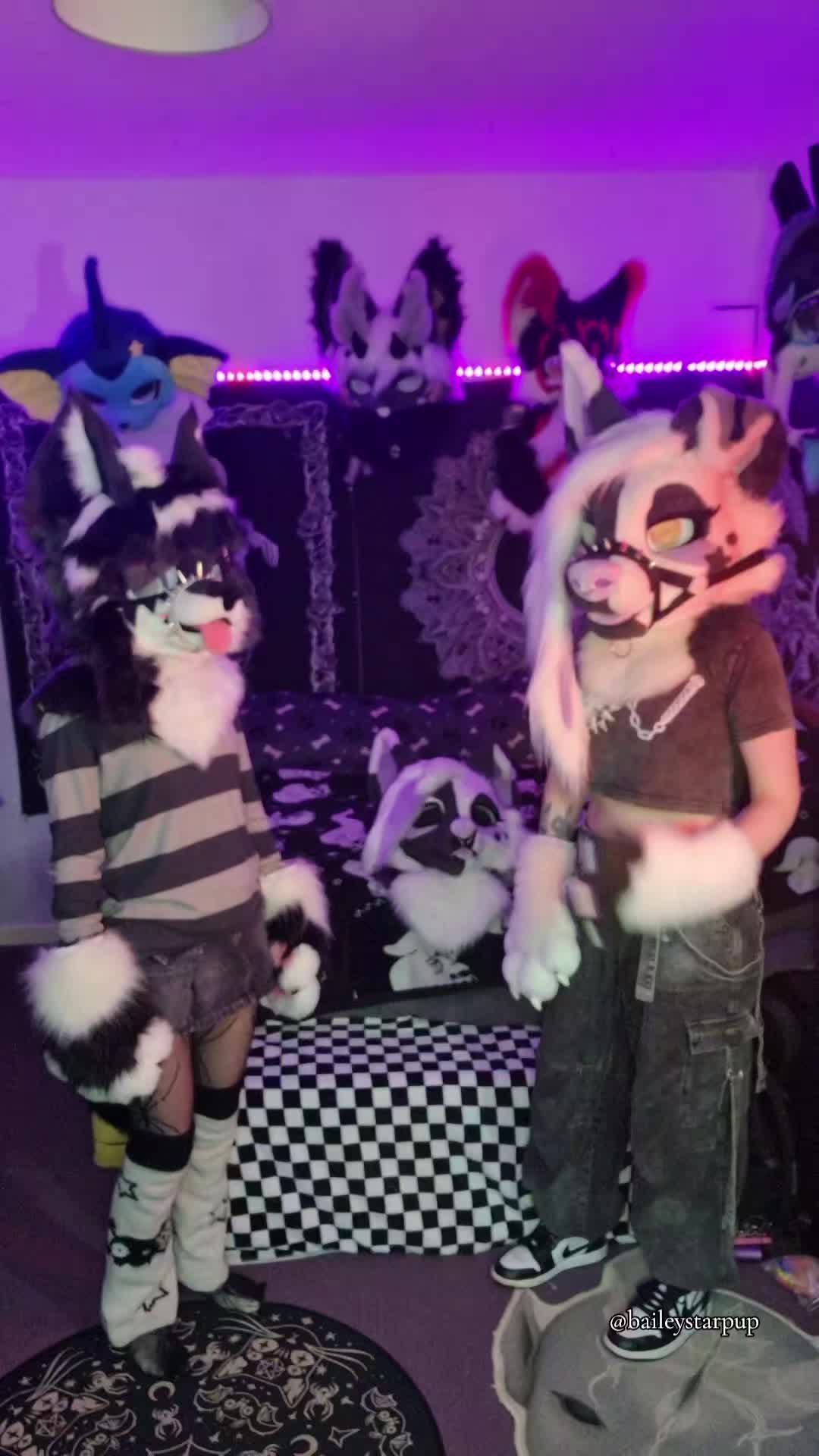 @Bailey (lilpixiekitten)