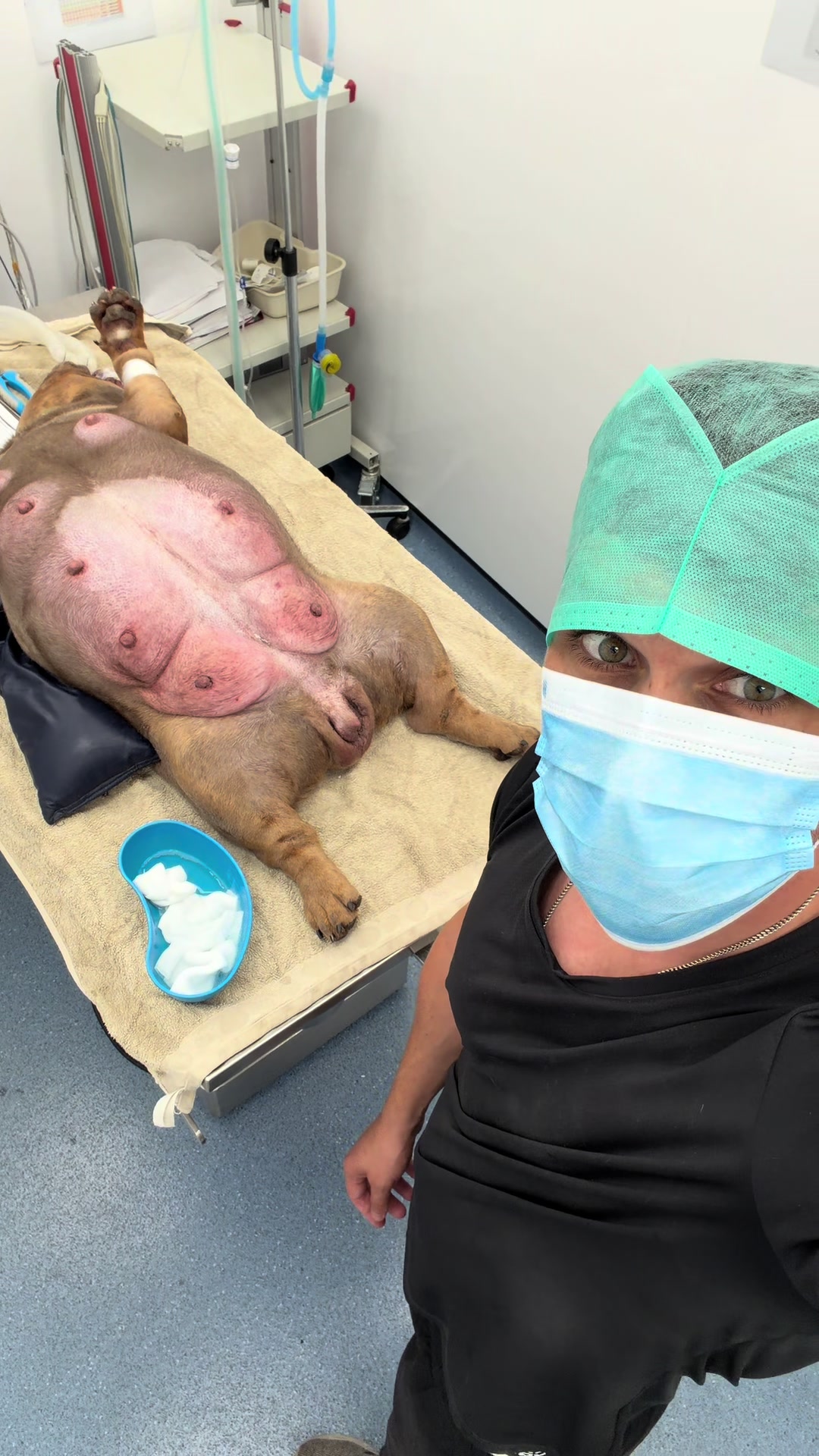 @Tomasthevet