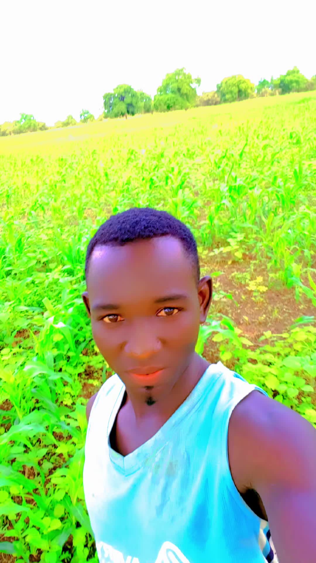 @AMATH NDAO