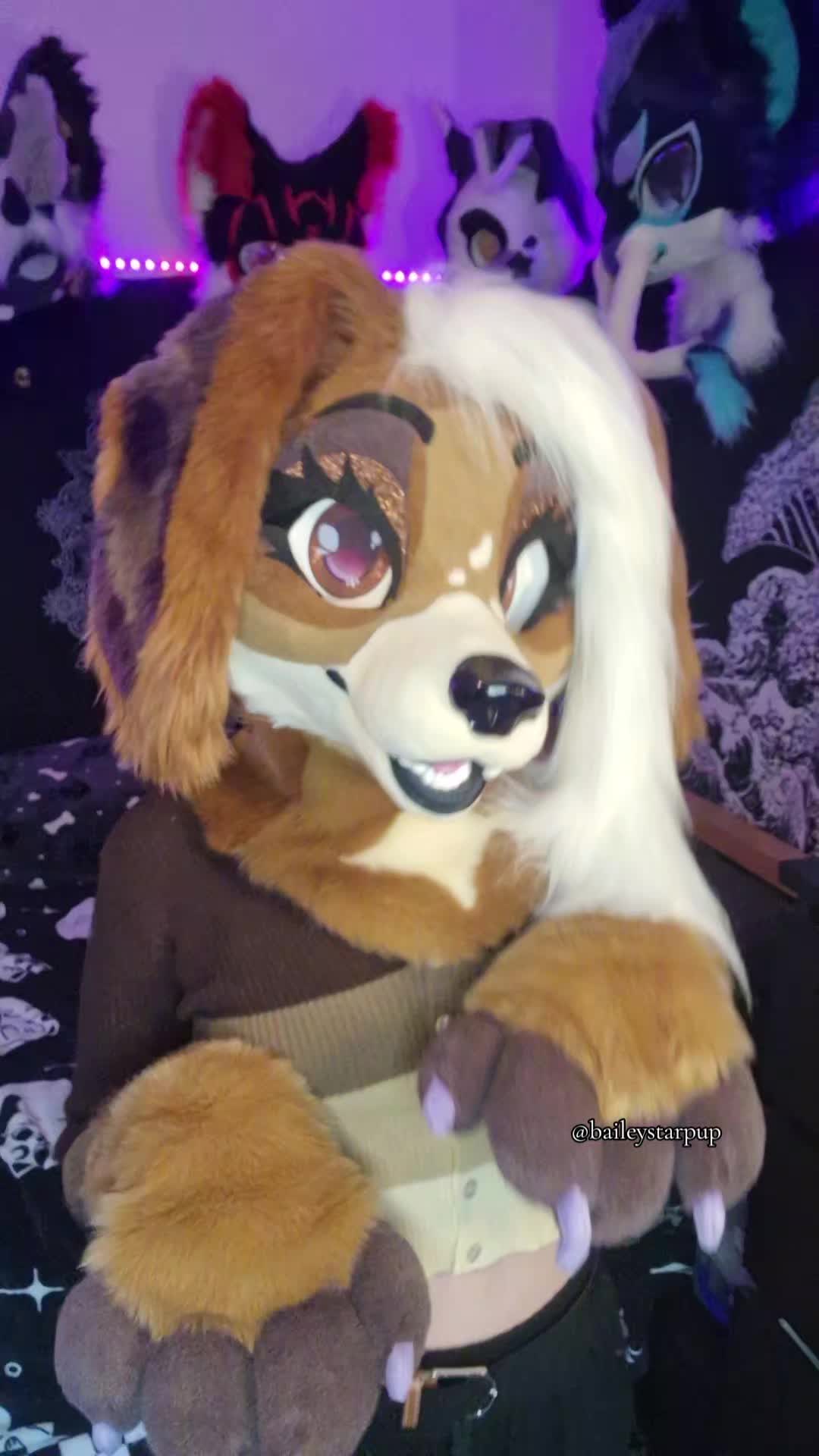 @Bailey (lilpixiekitten)