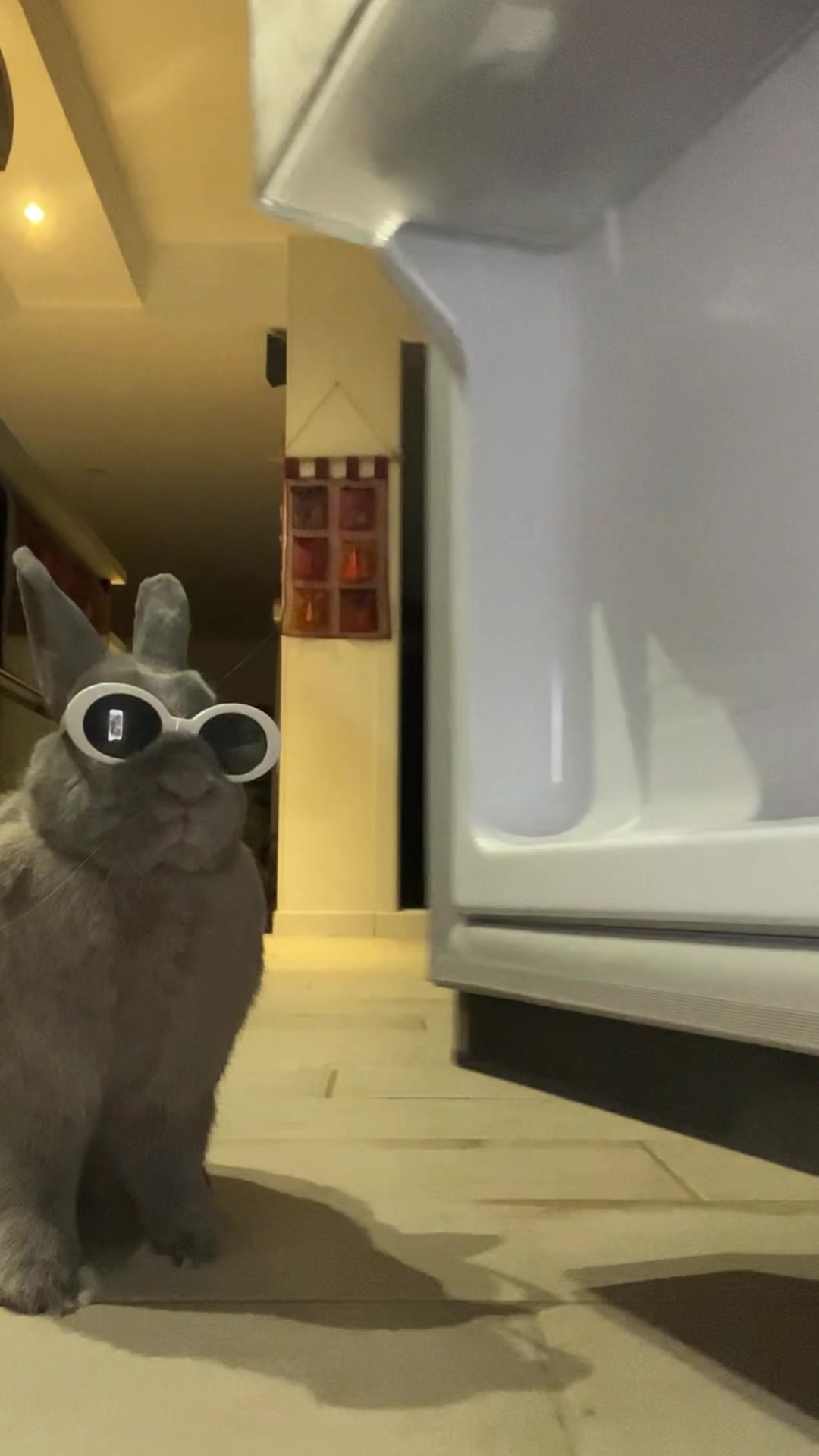 @PantoufleLapin