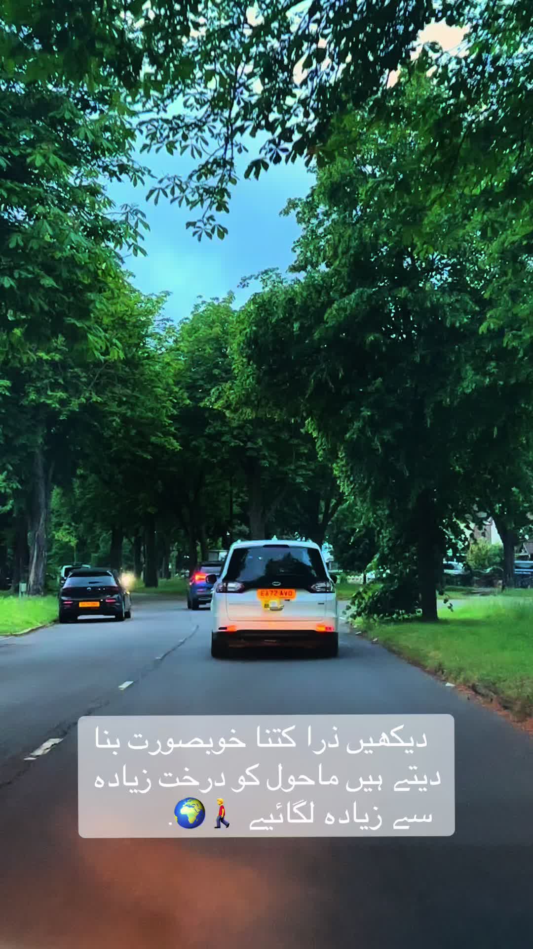 @𝑾𝑻 🚶&zwj;♂️