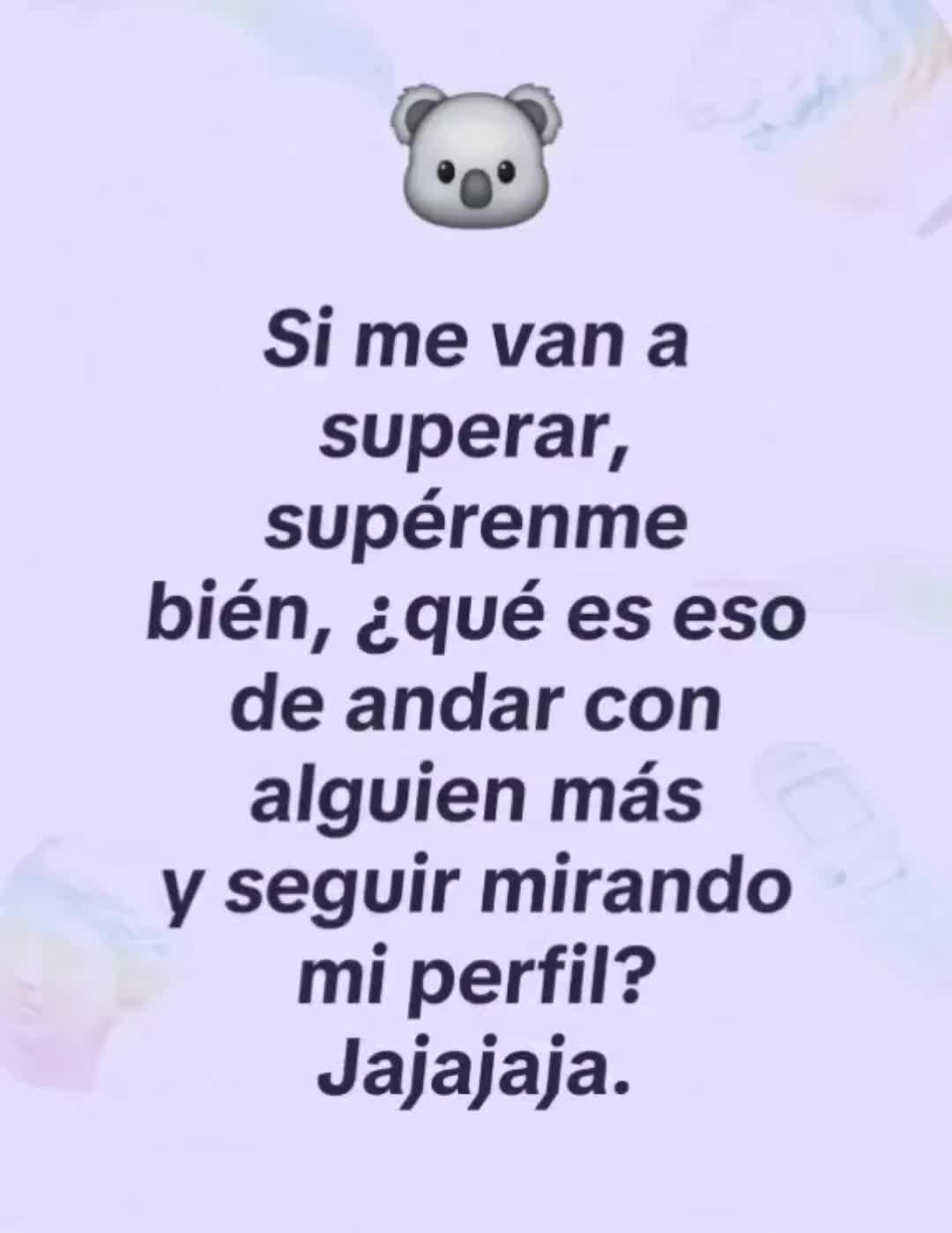 @el panda solitario