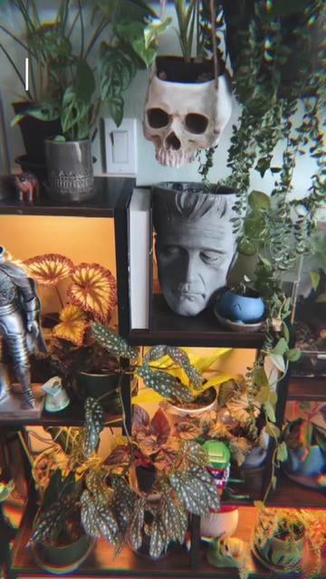 @🗡️🌿📚Tex📚🌿🗡️