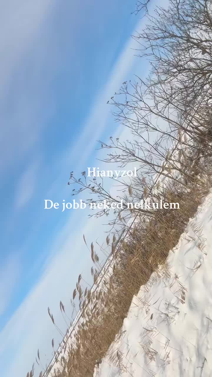 @Nessz